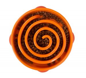 The Best Slow Feed Bowls For Dogs And Cats In 2020 Pawgearlab