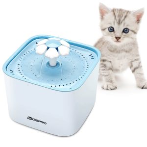 best cat water fountain reddit