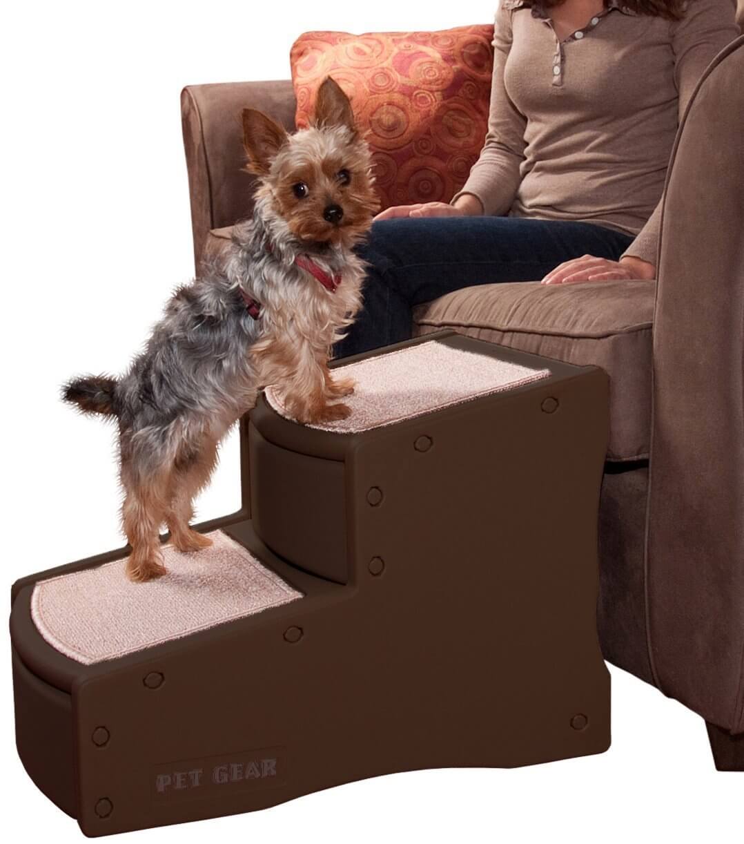 The Best Dog Stairs for Bed in 2023 | PawGearLab