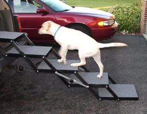 Pet Ramp For Car >> 5 Best Dog Ramps For Cars Suvs Trucks 2019 Pawgearlab Pet Ramp For Car >> 5 Best Dog Ramps For Cars Suvs Trucks 2019 Pawgearlab
