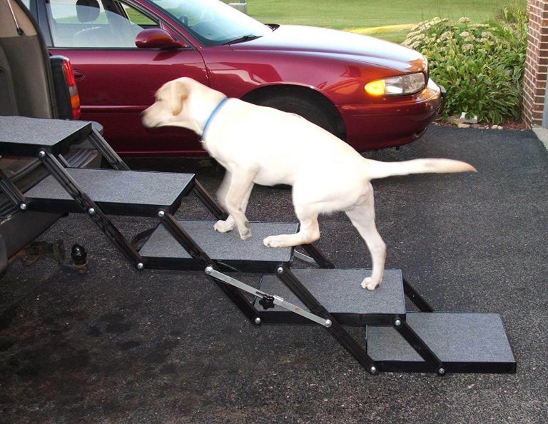 5 Best Dog Ramps for Cars/SUVs/Trucks 2019 Pawgearlab
