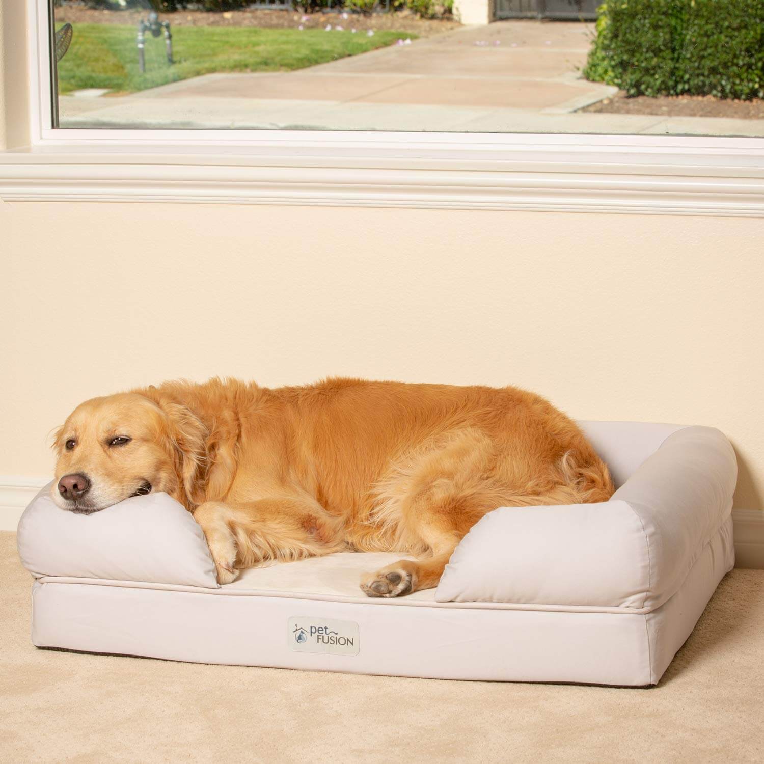 The Best Orthopedic Dog Beds in 2023 PawGearLab