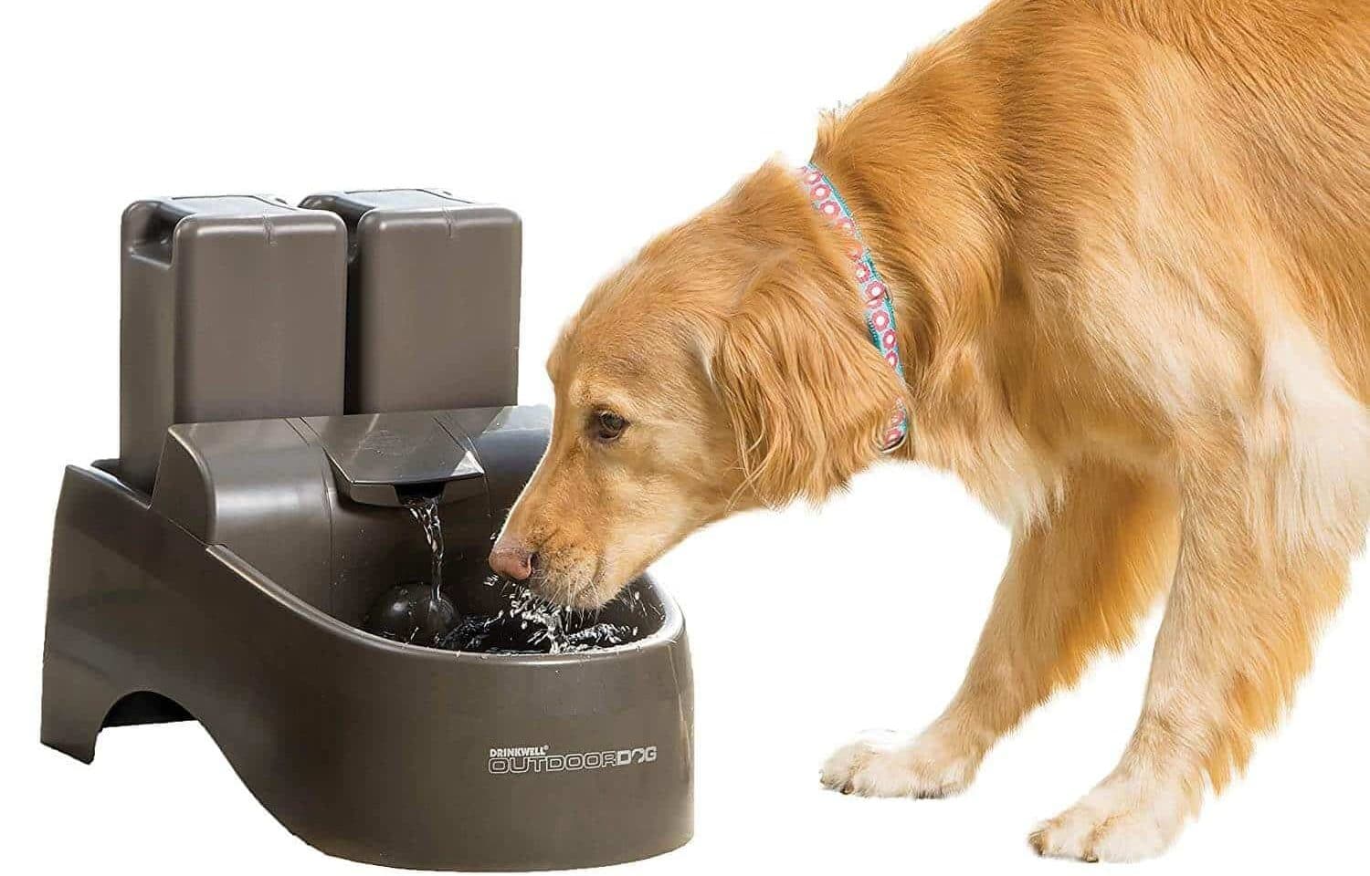 Dog Water Fountains and Waterer PawGearLab