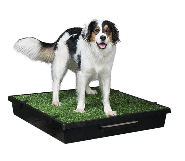 PetSafe Pet Loo Portable Dog Potty small 3