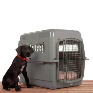 The Best Airline Approved Dog Carriers And Crates In 2019 The Best Airline Approved Dog Carriers And Crates In 2019