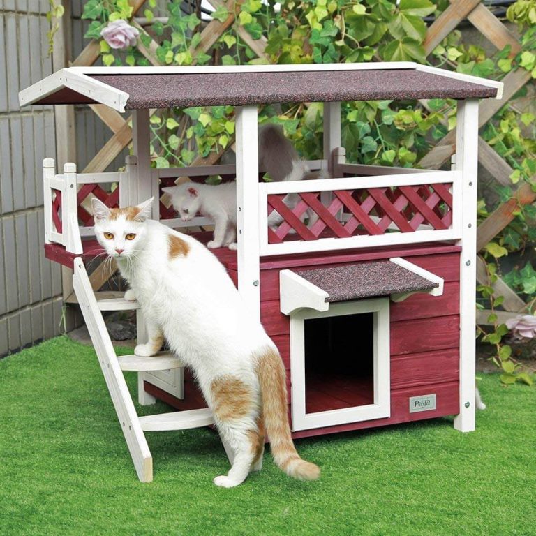 Petsfit Outdoor Cat House Wine Red 1