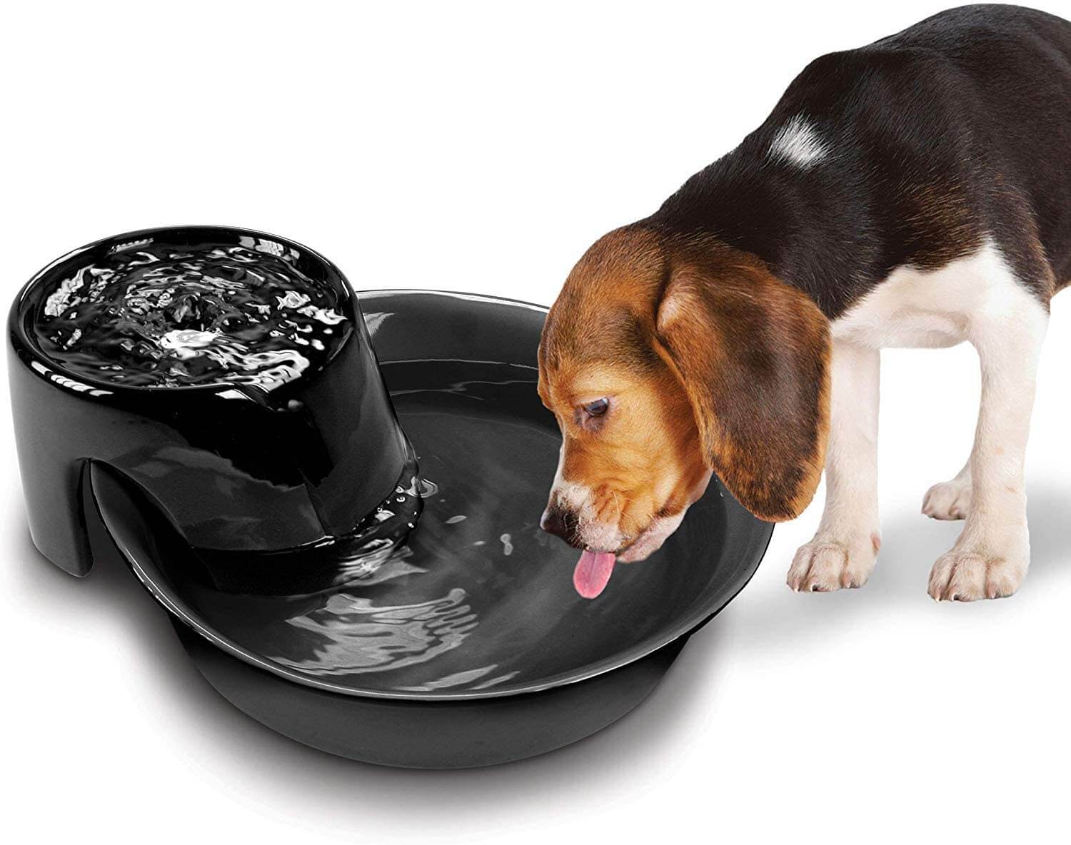 Dog Water Fountains and Waterer PawGearLab