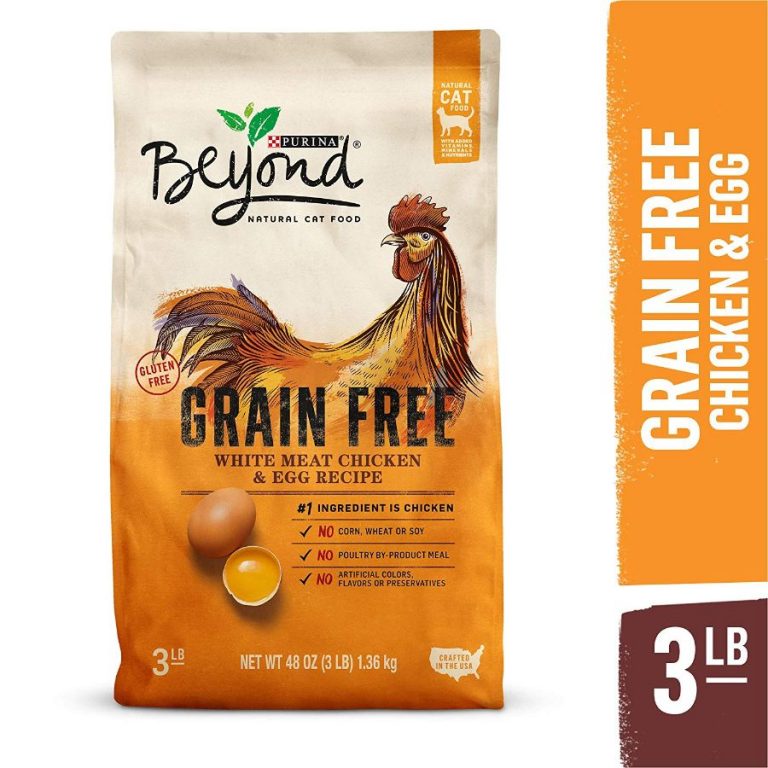 The 4 Best Cat Foods for Weight Gain in 2023 PawGearLab