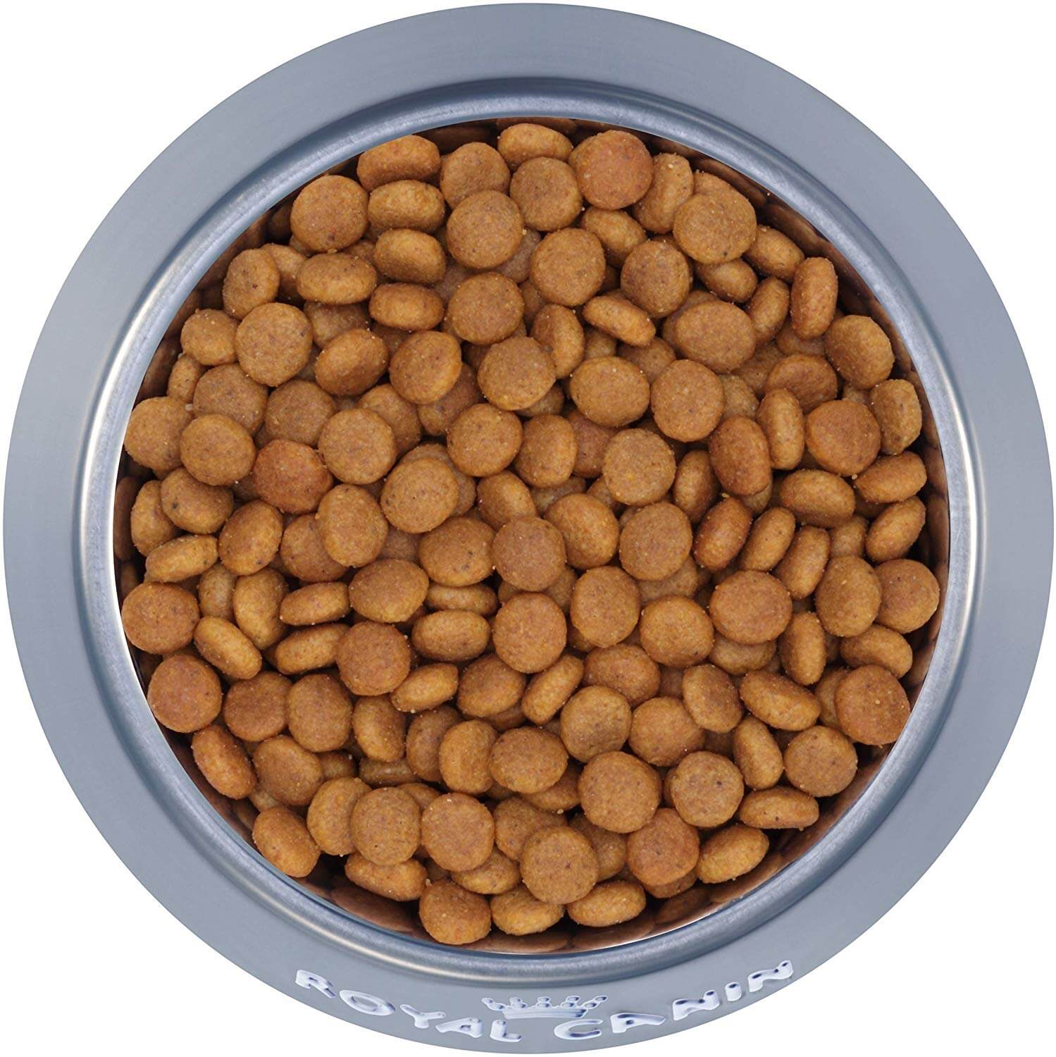 The Best Cat Food for Senior Cats in 2023 PawGearLab