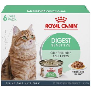 Royal Canin Feline 6Pack 1