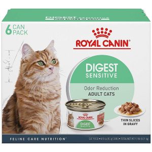 The 5 Best Cat Foods for Sensitive Stomachs in 2022 | PawGearLab