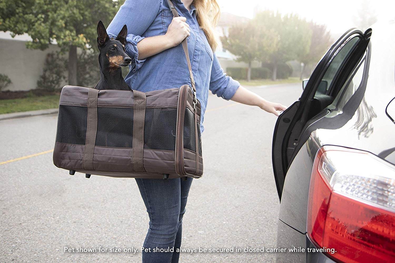 The Best Airline Approved Dog Carriers and Crates in 2023 PawGearLab