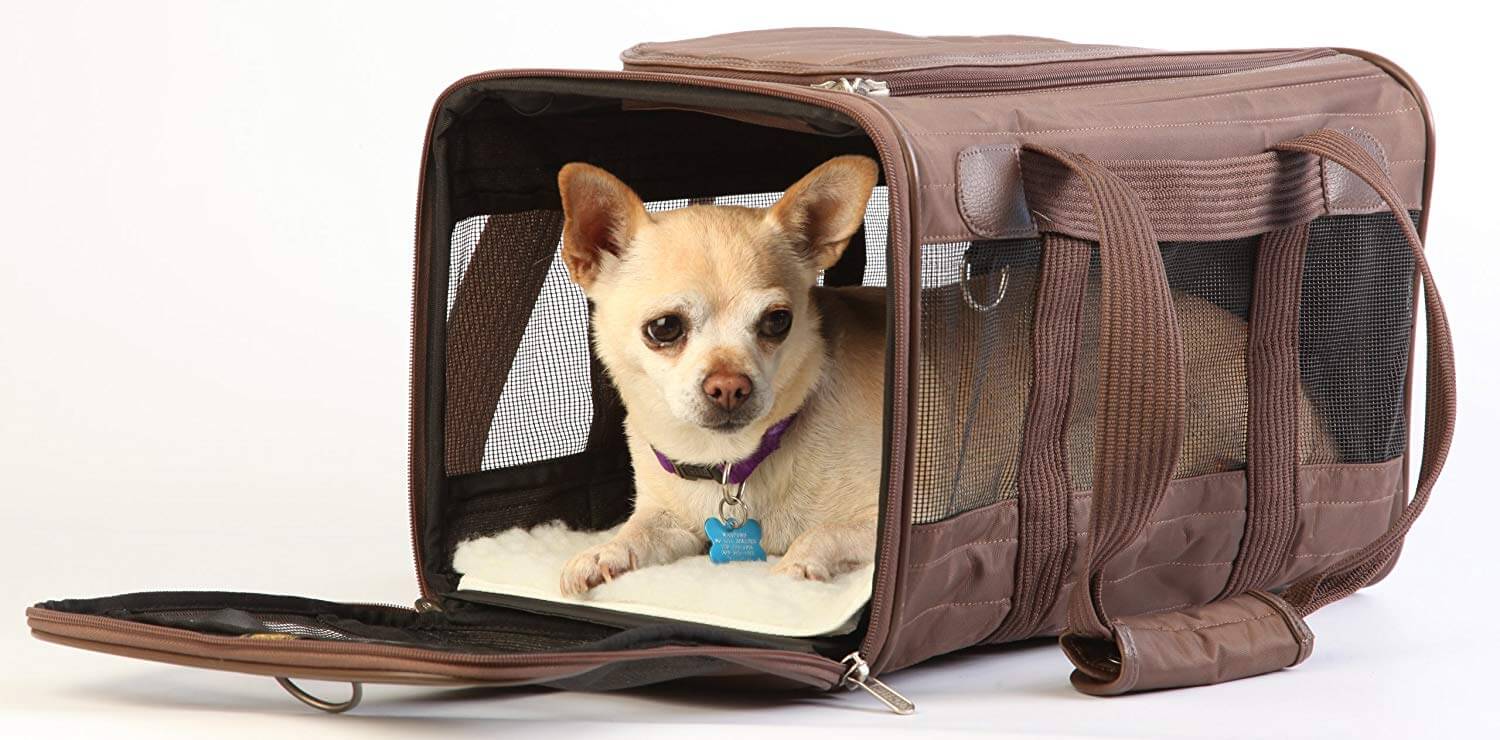 The Best Airline Approved Dog Carriers and Crates in 2023 PawGearLab