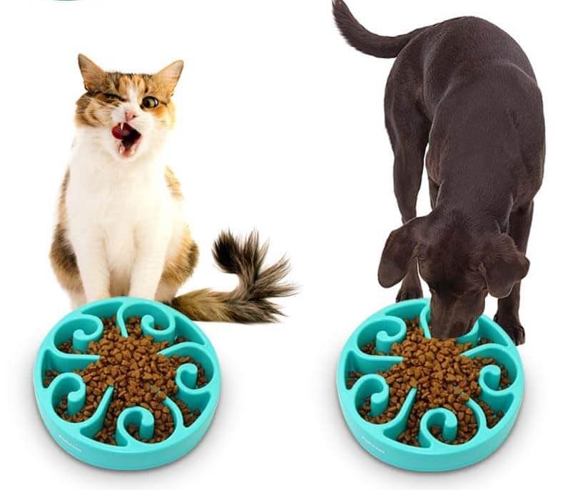 dog food bowl fast eaters