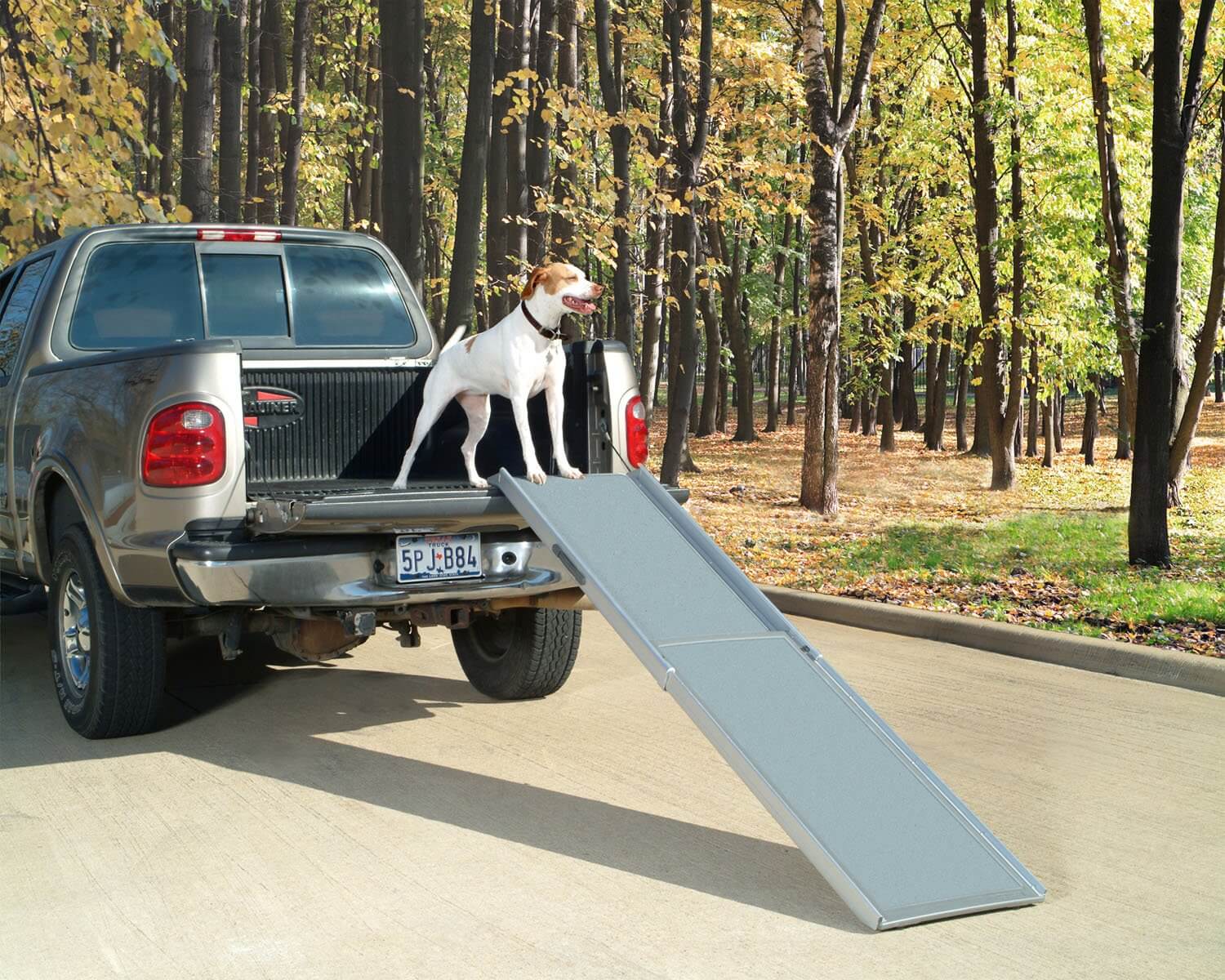 5 Best Dog Ramps for Cars/SUVs/Trucks 2019 | Pawgearlab
