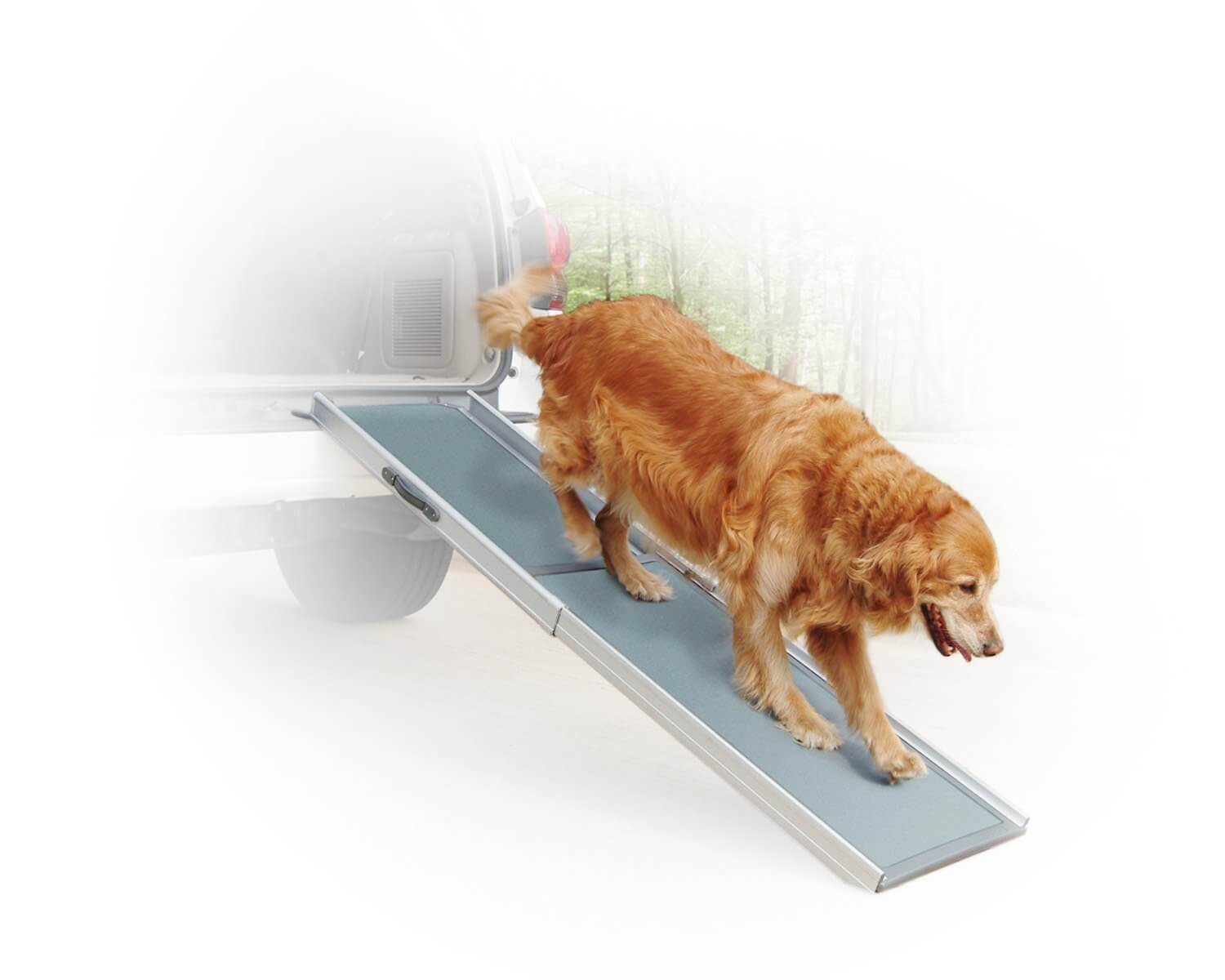 5 Best Dog Ramps for Cars/SUVs/Trucks 2019 Pawgearlab