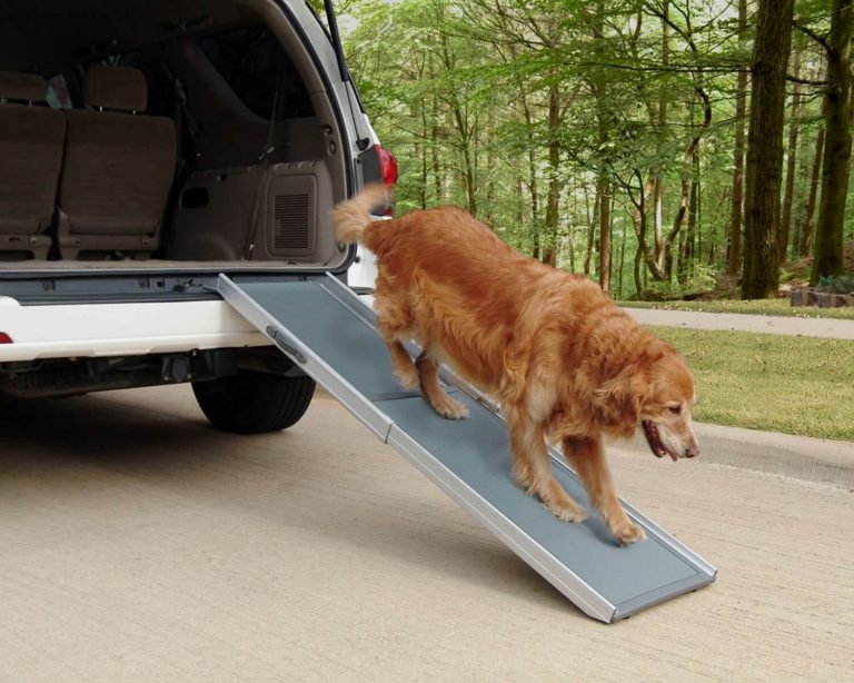 5 Best Dog Ramps for Cars/SUVs/Trucks 2019 Pawgearlab