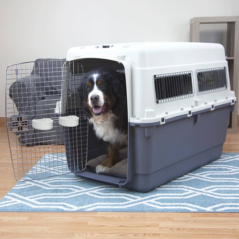 The Best Airline Approved Dog Carriers and Crates in 2023 PawGearLab