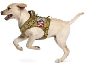 military style service dog vest