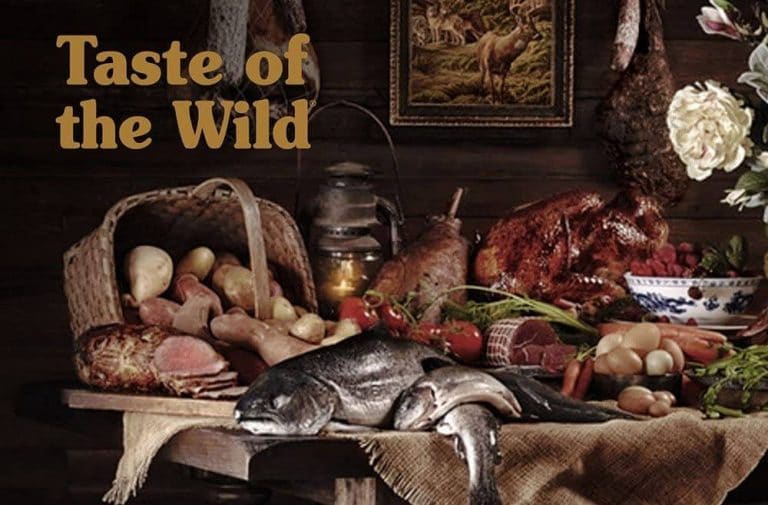 [2020] Best Dog Food for Herding Dogs Pawgearlab