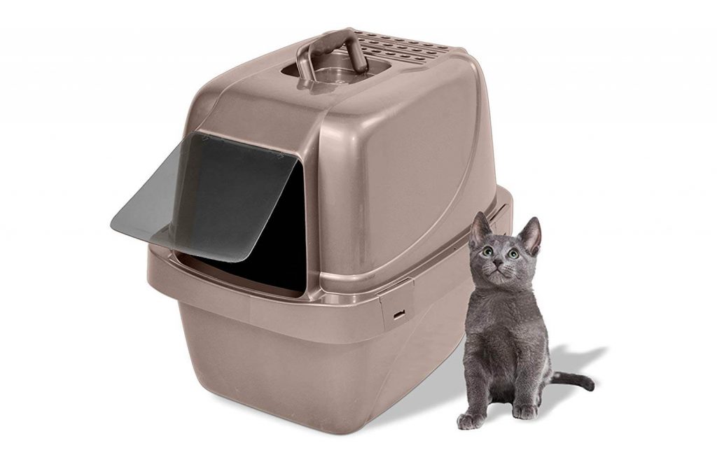 The Best Flushable Cat Litter in 2021 PawGearLab