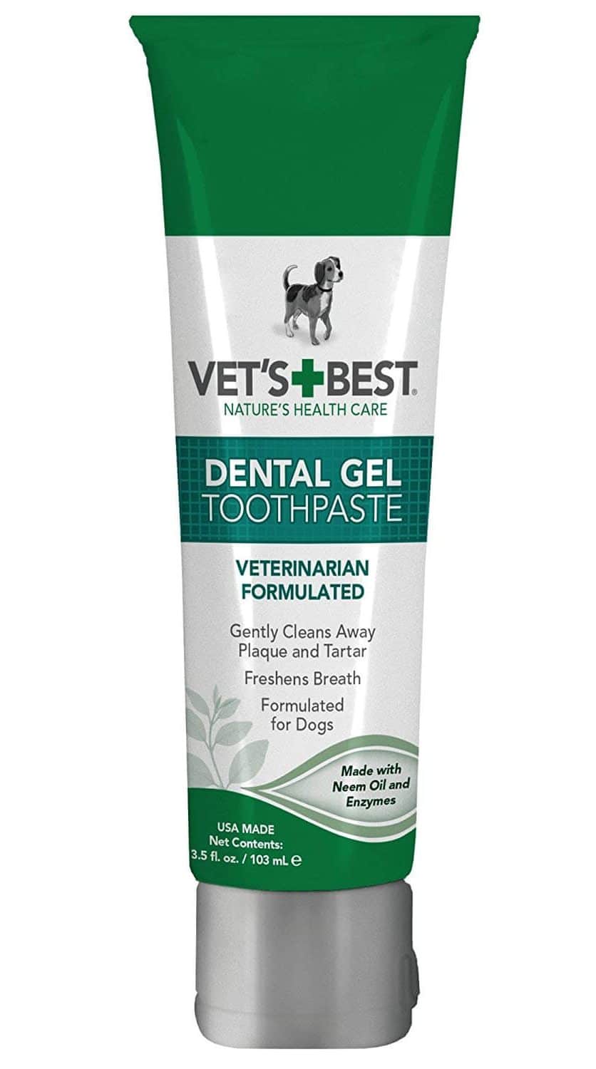 The Best Cat Toothpaste in 2023 PawGearLab