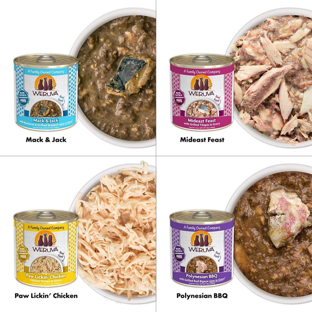 Best Cat Foods for Constipation in 2023 + Supplements PawGearLab