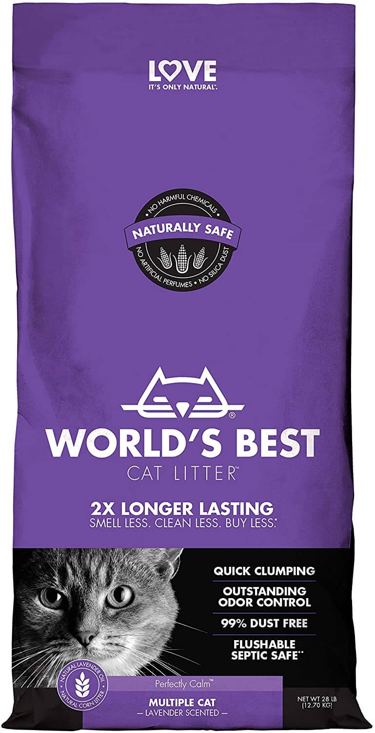 The Best Flushable Cat Litter in 2023 PawGearLab