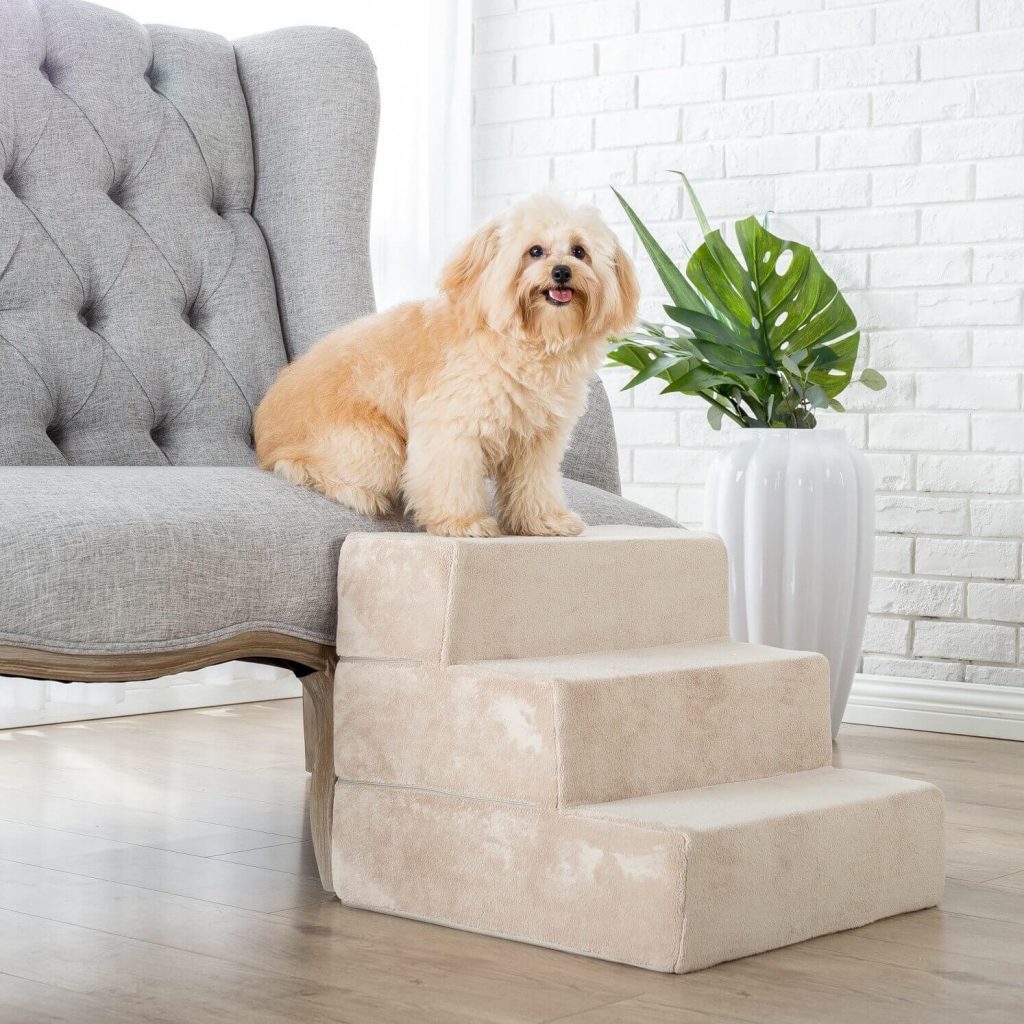 The Best Dog Stairs for Bed in 2023 PawGearLab