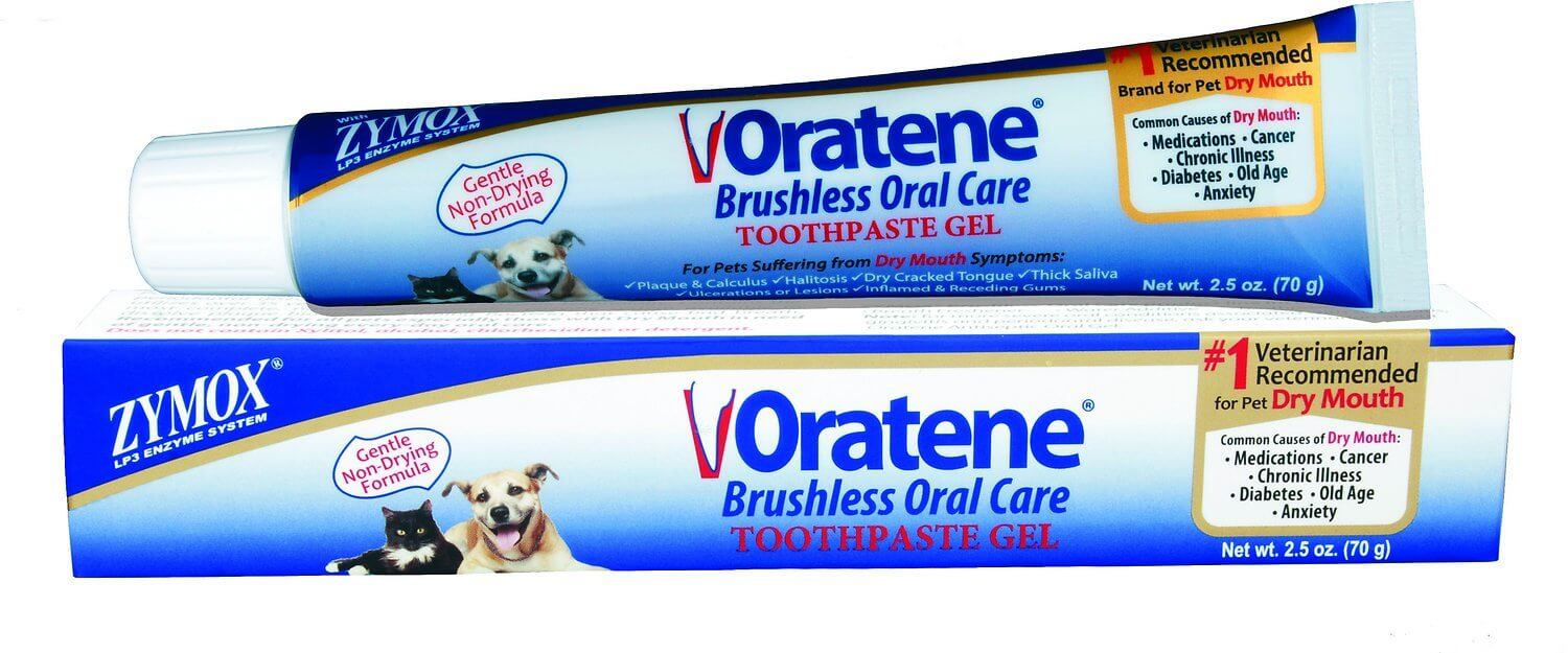 The Best Cat Toothpaste in 2021 PawGearLab
