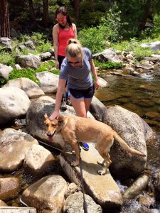 dog hike river 2