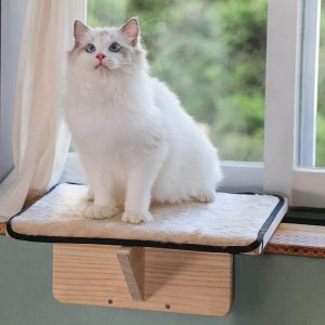 Petsfit Safety Sturdy Cat Window Perch 1