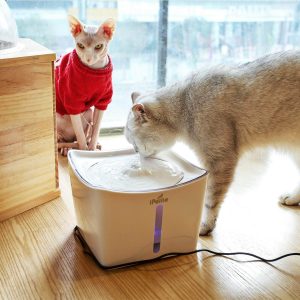 reddit best cat water fountain