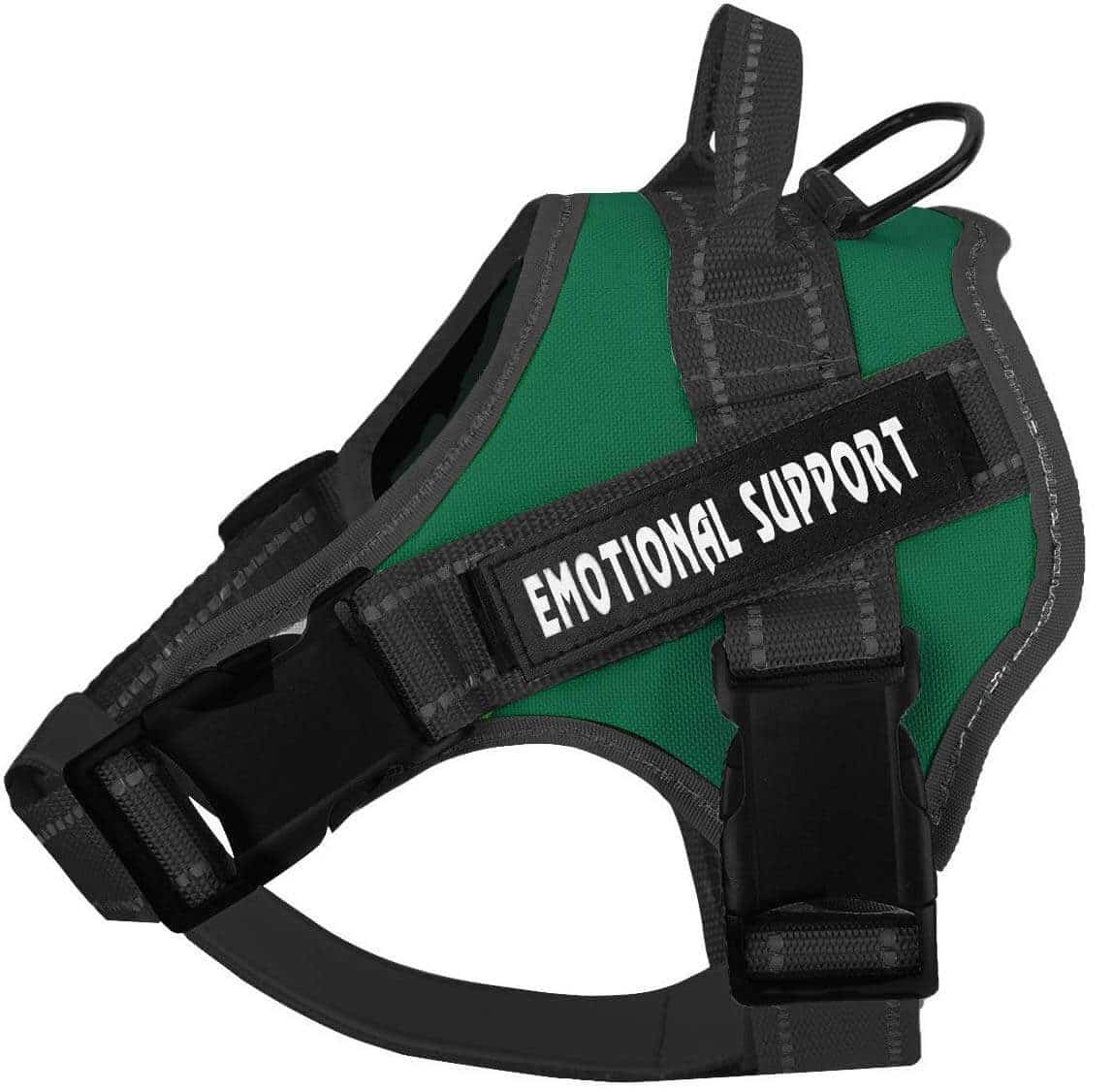 The Best Service Dog Vests in 2023 PawGearLab