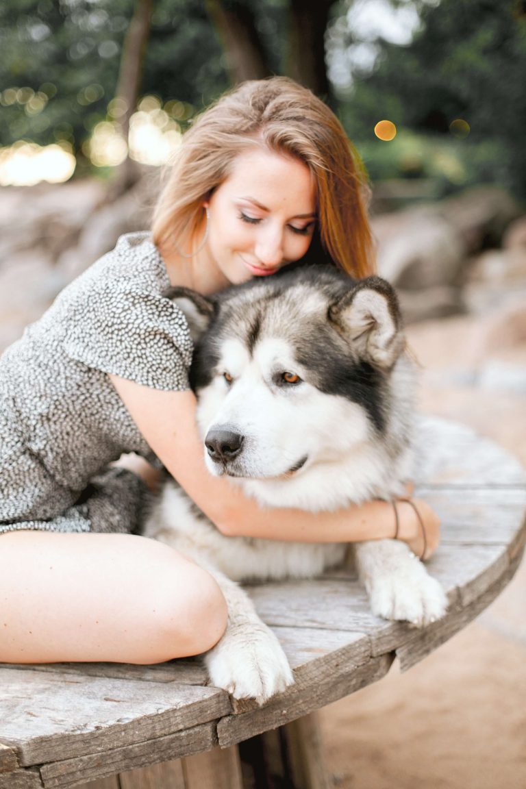 woman in gray sweater hugging black and white siberian husky 3662756